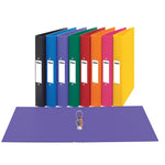 A4 2 Ring Binders 25mm Capacity Polypropylene Over Board