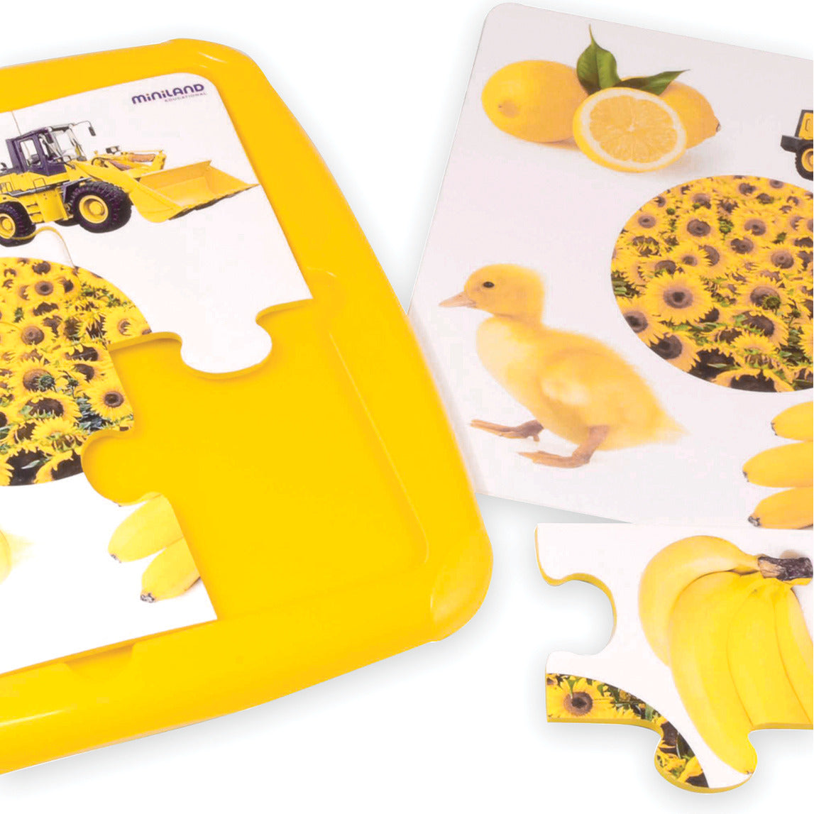 Washable Colour Plastic Puzzles