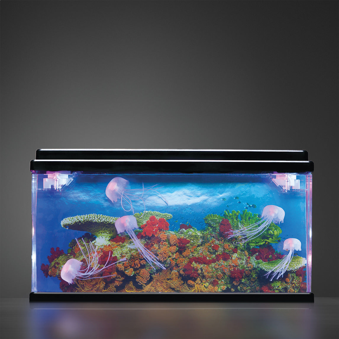Jelly Fish Tank