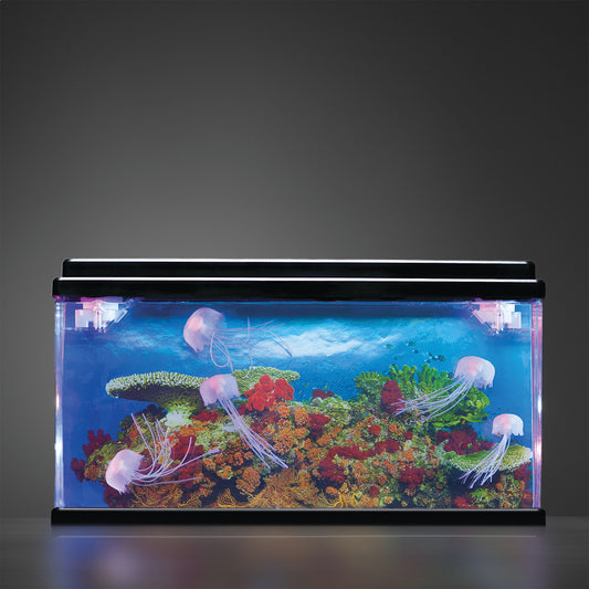 Jelly Fish Tank