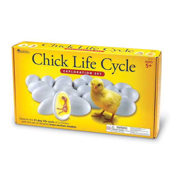 Chick Life Cycle Exploration Set
