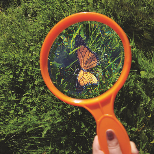 Large Handheld Magnifier Pack of 12