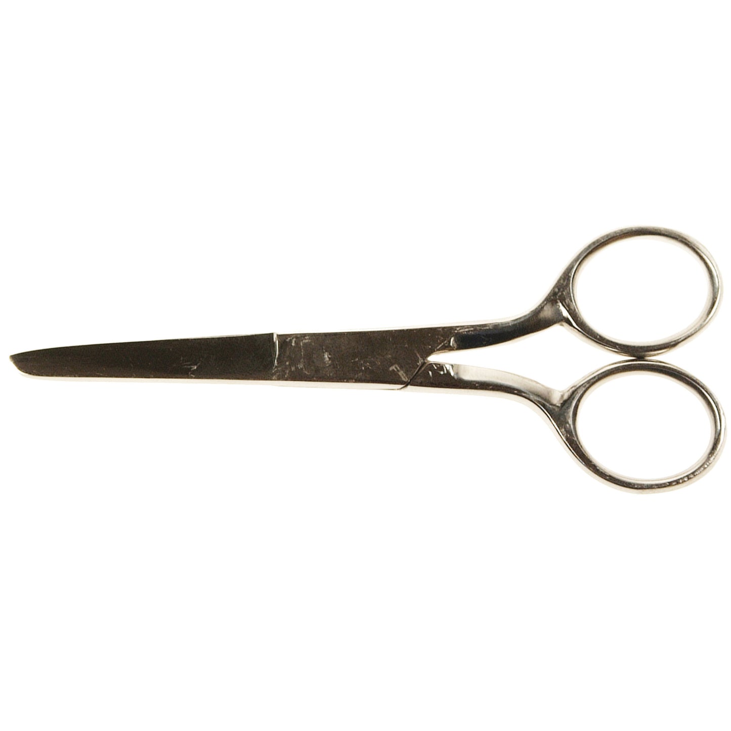 Stainless Steel Blunt/Sharp Scissors