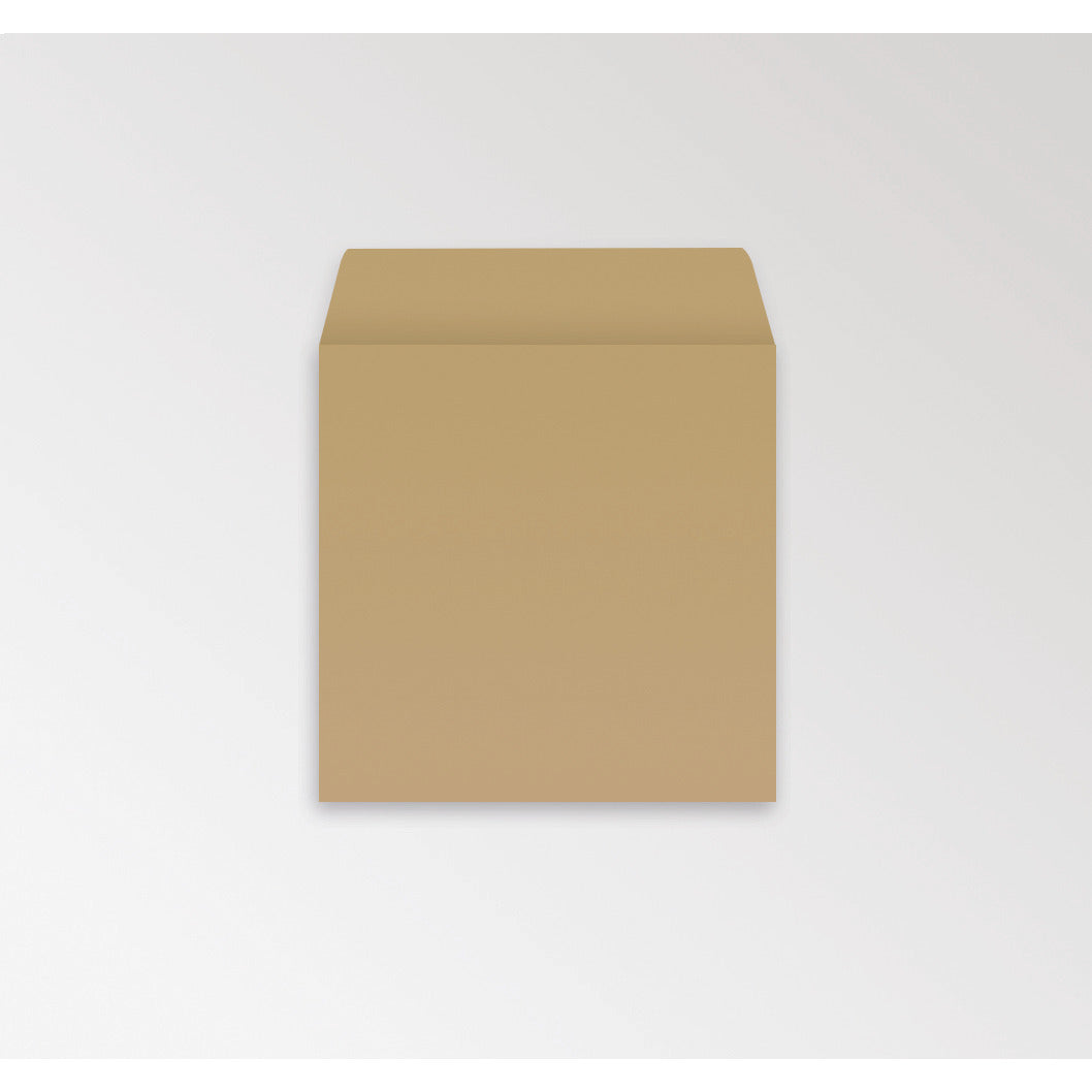 Dinner Money Envelopes