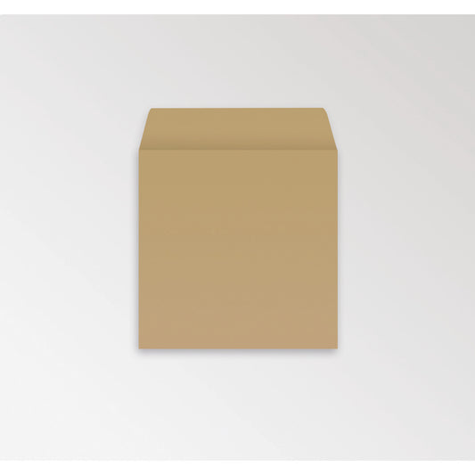 Dinner Money Envelopes