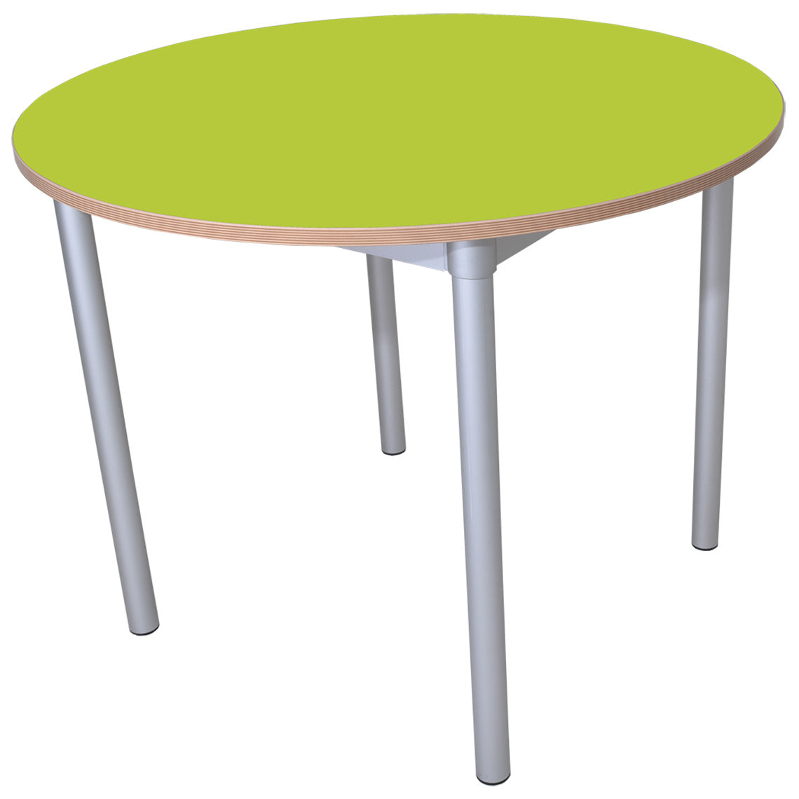 Enviro Early Years Round Table