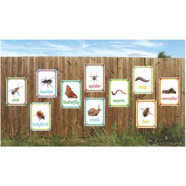 Creepy Crawlies Outdoor Learning Photo Boards