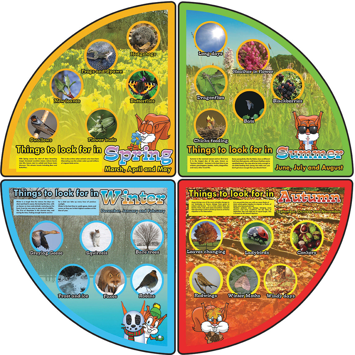 Things To Look Out For Outdoor Learning Board