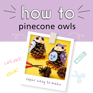How-to craft guide: Pinecone owls