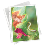A4 Embossed Clear Punched Presentation Folders