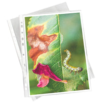 A4 Embossed Clear Punched Presentation Folders