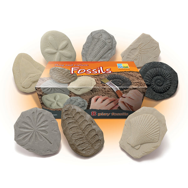 Play and Explore Fossils