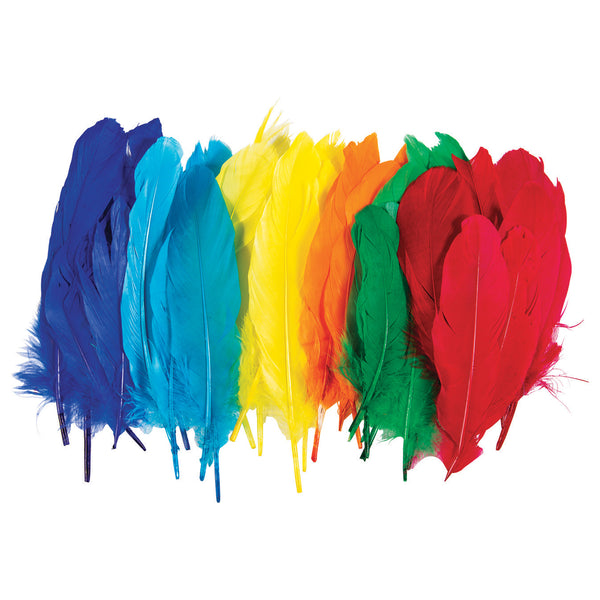 Large Bright Coloured Feathers