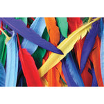 Small Feathers - Bright Colours