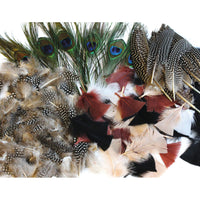 Natural Feathers Class Pack