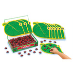 Ladybird Counting Box Game