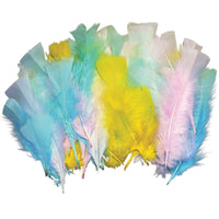 Pastel Feathers