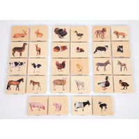 Domestic Animal Family Match Game