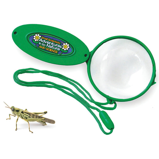 Folding Magnifiers 6 Pack