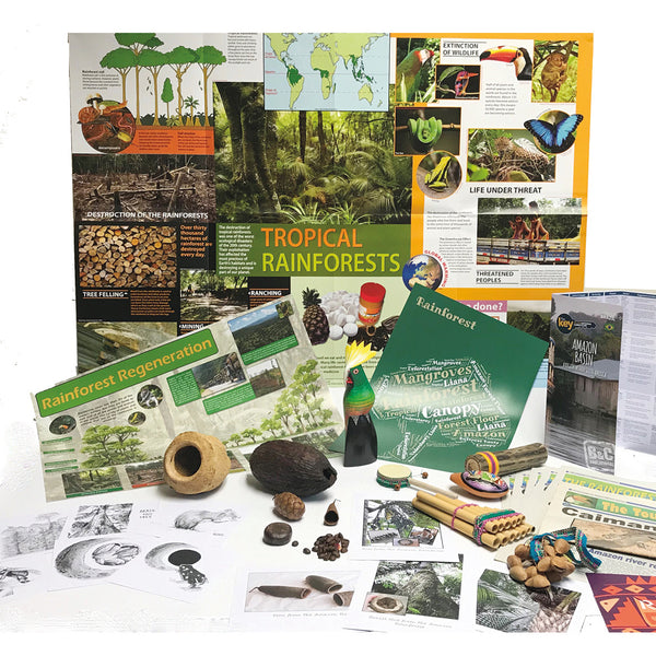 Rainforest Artefacts Collection