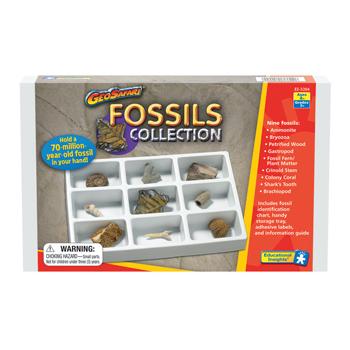 Fossils Collection, Set of 9